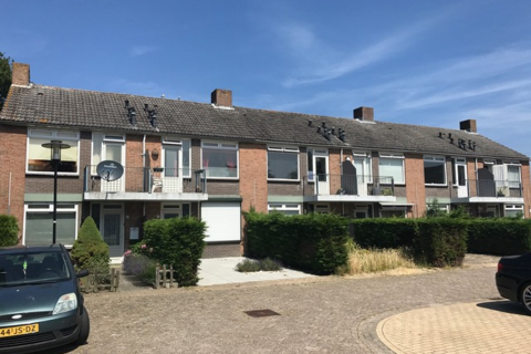 house image