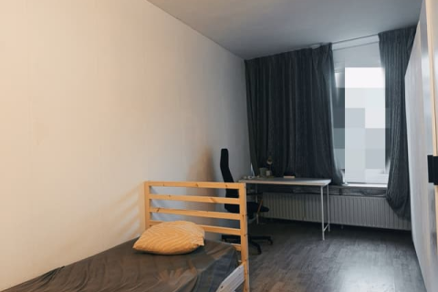 house image