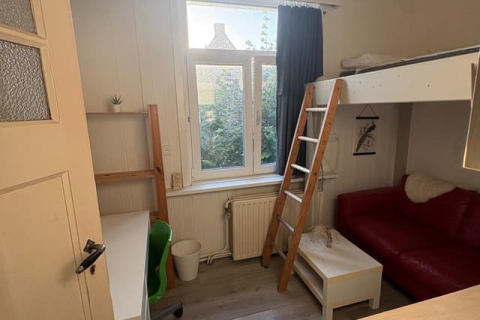 house image