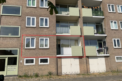 house image