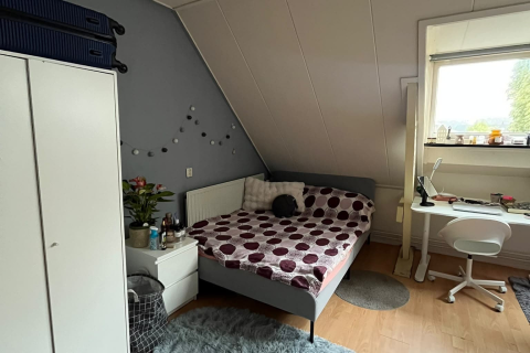 house image