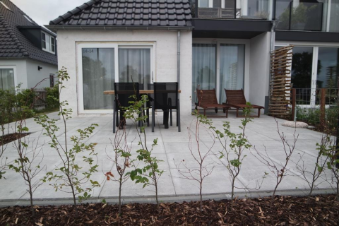 house image