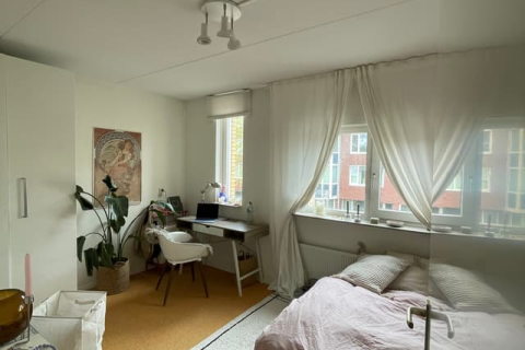 house image