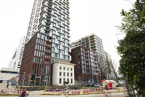 house image