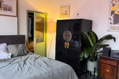 house image