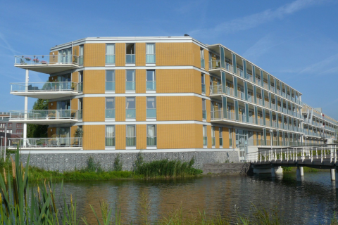 house image