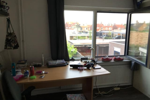 house image