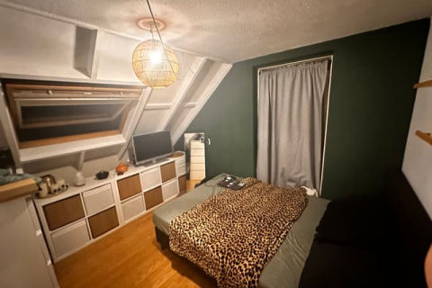 house image