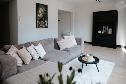 house image
