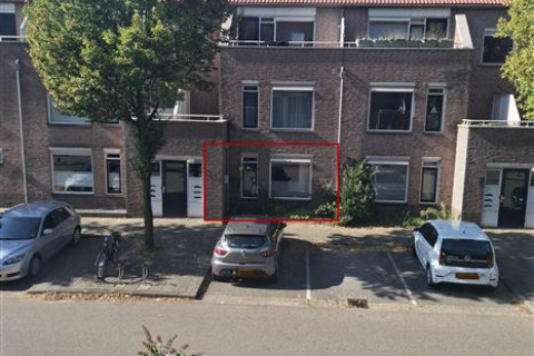 house image