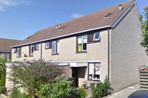 house image
