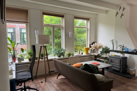 house image
