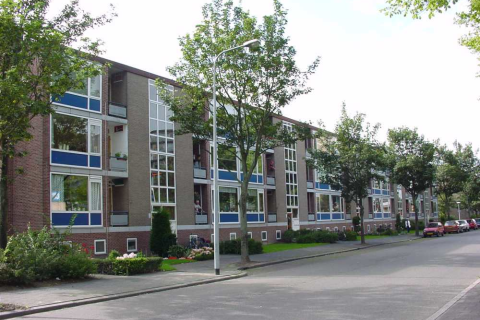 house image