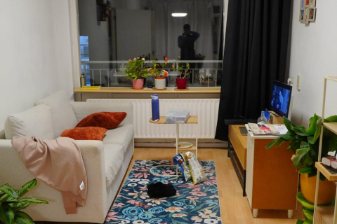 house image