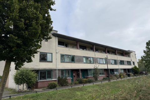 house image
