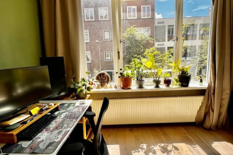 house image