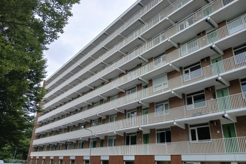house image