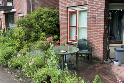 house image