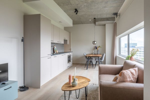 house image