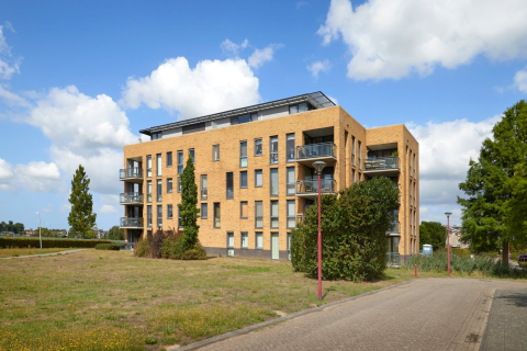 house image
