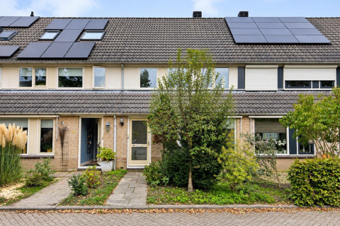 house image