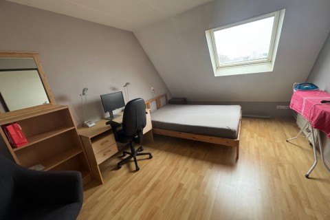 house image
