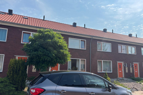 house image