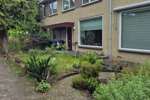 house image