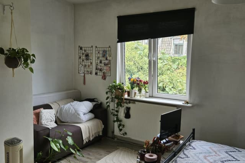 house image