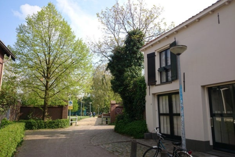 house image