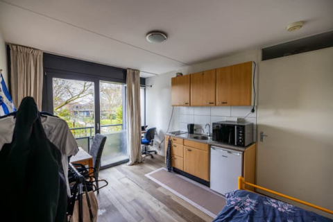 house image