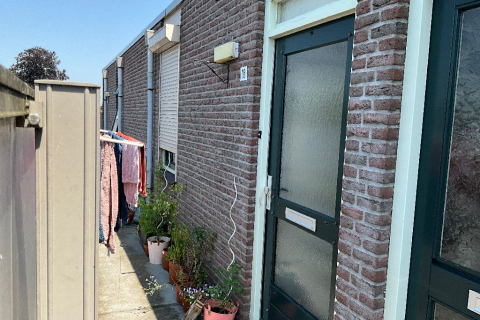 house image