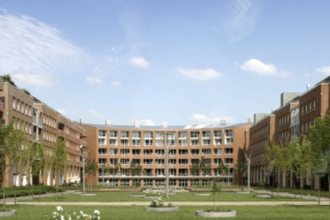 house image