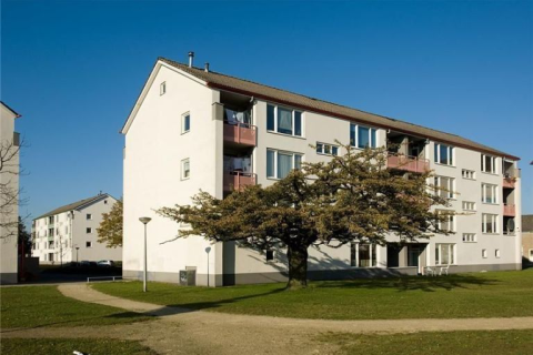 house image