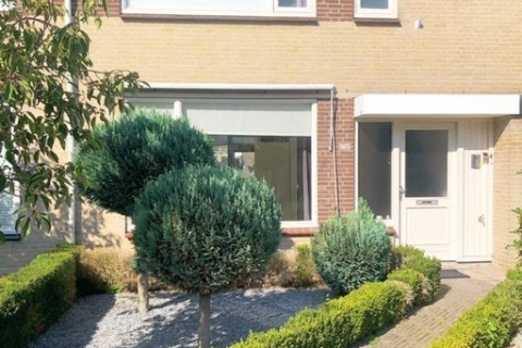 house image