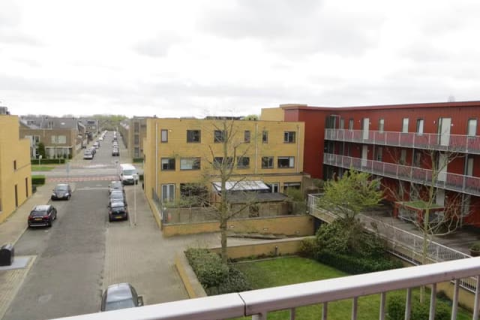 house image