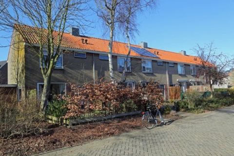 house image