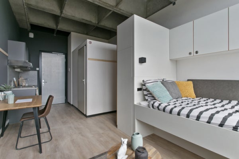 house image