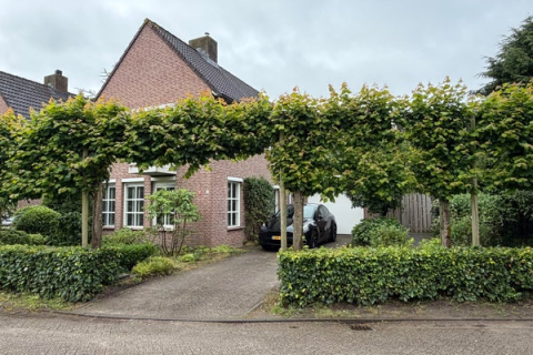 house image