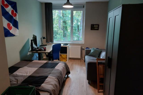 house image