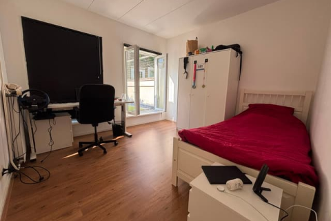 house image