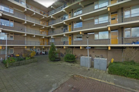 house image