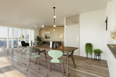 house image