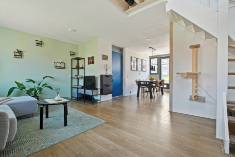 house image