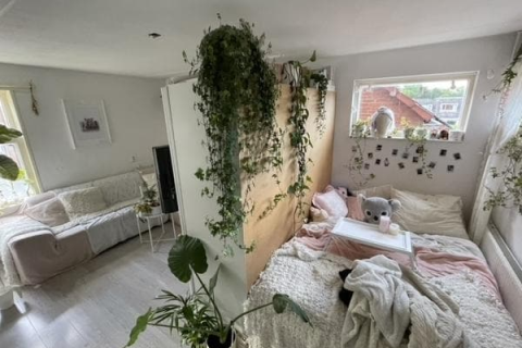 house image