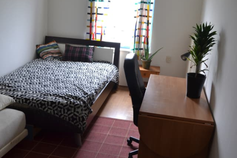 house image