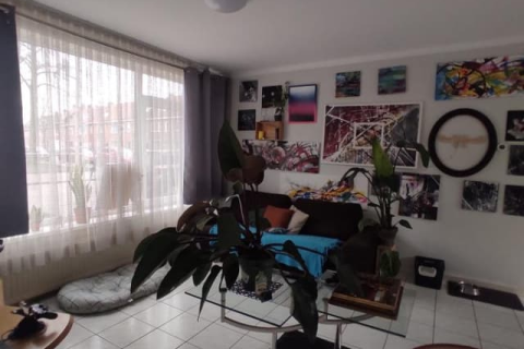 house image