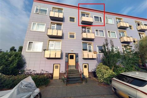 house image