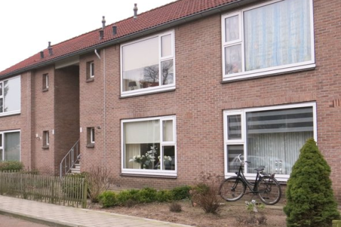house image