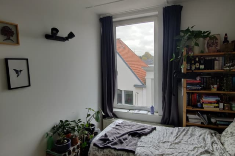 house image